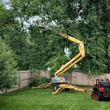 Best Seasonal Cleanup (Spring/Fall)  in Manly, IA