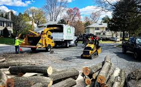  Manly, IA Tree Services Pros
